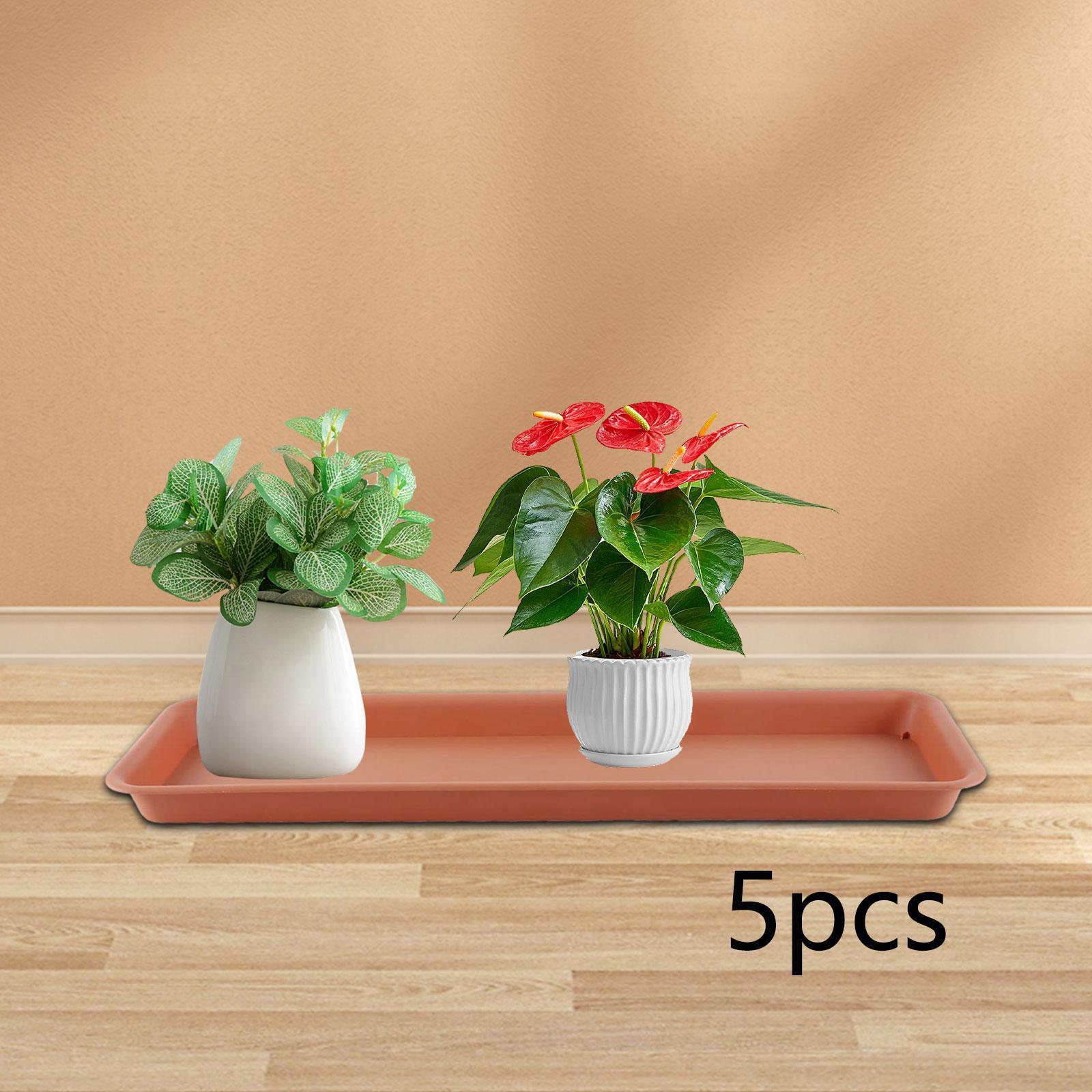 5 sztuk podkładek drenażowych  – Drip Tray Saucer recenzja i cena
